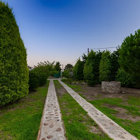 Villa Aegean Sea Skiathos Kalivia (Skiathos)