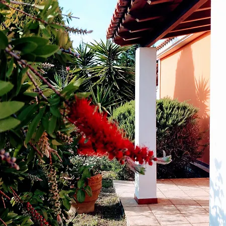 Villa Aegean Sea Skiathos *