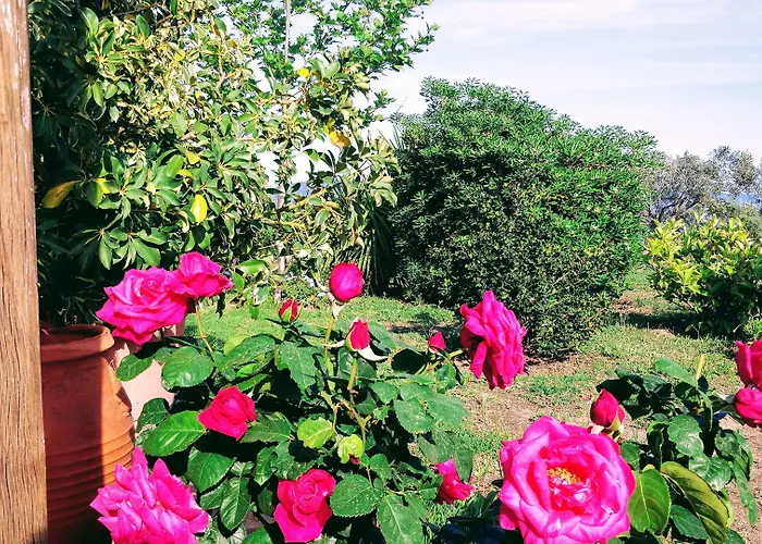 Aegean Sea Skiathos Βίλα *